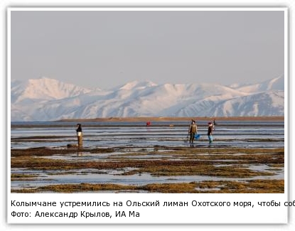 Фото: Александр Крылов, ИА MagadanMedia