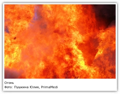 Фото: Пушкина Юлия, PrimaMedia