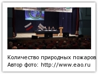 Количество природных пожаров снизилось в ЕАО в этом году Автор фото: https://www.eao.ru/