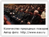 Количество природных пожаров снизилось в ЕАО в этом году Автор фото: https://www.eao.ru/