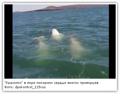 Фото: dpskontrol_125rus