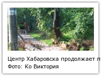 Центр Хабаровска продолжает пугать свалками из вывернутых циклоном деревьев Фото: Ко Виктория