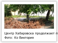Центр Хабаровска продолжает пугать свалками из вывернутых циклоном деревьев Фото: Ко Виктория