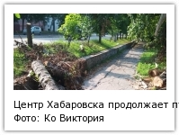 Центр Хабаровска продолжает пугать свалками из вывернутых циклоном деревьев Фото: Ко Виктория