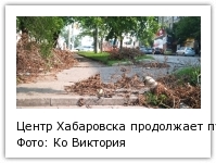 Центр Хабаровска продолжает пугать свалками из вывернутых циклоном деревьев Фото: Ко Виктория