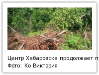 Центр Хабаровска продолжает пугать свалками из вывернутых циклоном деревьев Фото: Ко Виктория